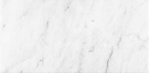 Bianco Venatino Honed 12"x24" | Marble | Floor/Wall