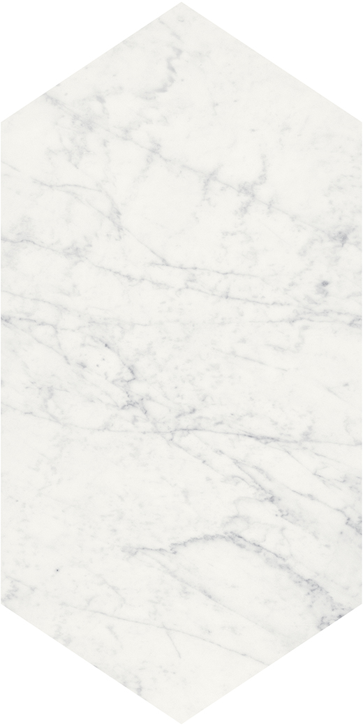 Eterna Bianco Honed 24" Picket | Marble | Floor/Wall