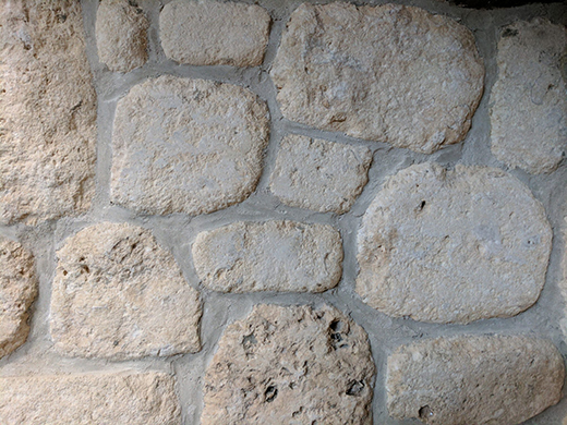 Marine Life Marine Life Natural Veneer - Square Cut | Limestone | Exterior Stone