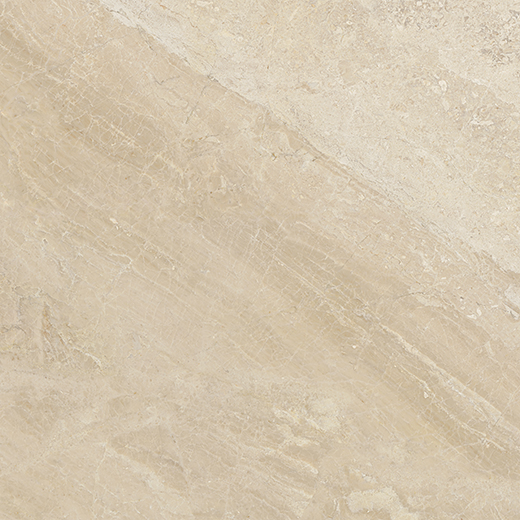 Impero Reale Honed 24"x24" | Marble | Floor/Wall