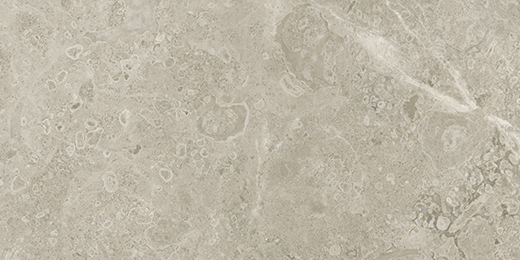 Ritz Gray Honed 12"x24" | Marble | Floor/Wall