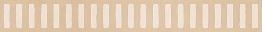 Terranova Bisque Matte/Glossy 3"x24" Deco Bisque | Glazed Porcelain | Floor/Wall Decorative