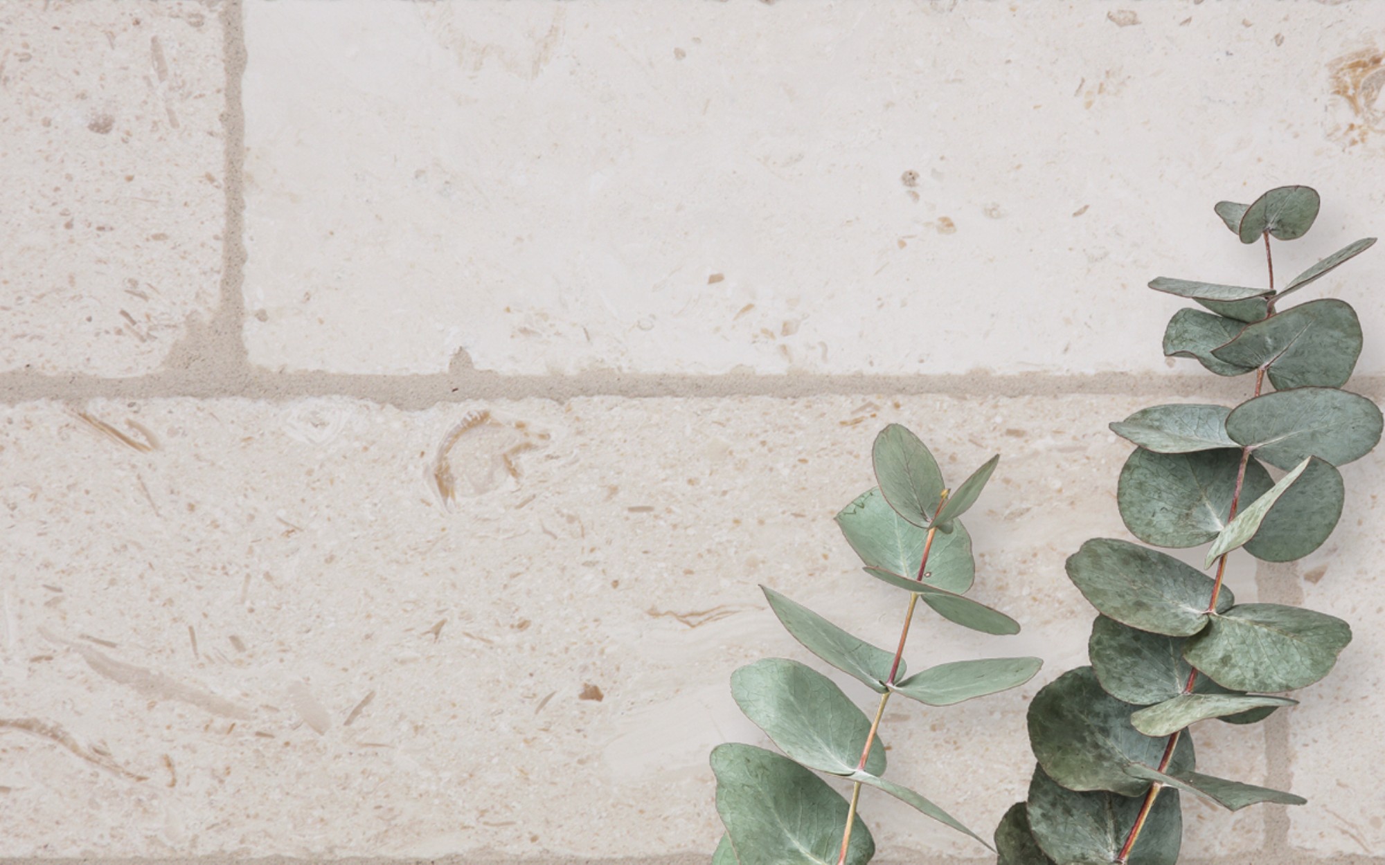 Tumbled Natural Stone Irish Cream Lightly Tumbled 3"x9 Natural Stone