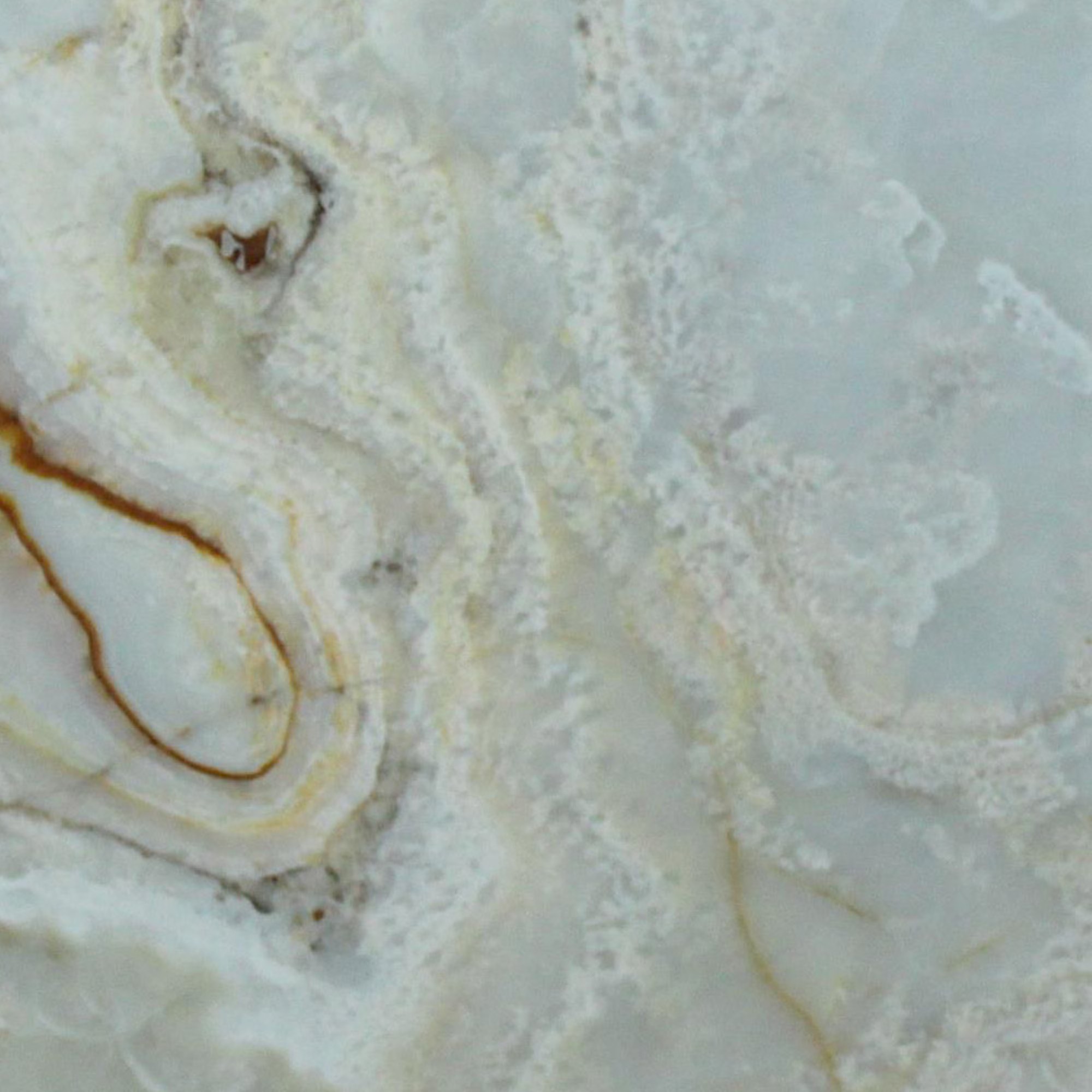 White Onyx Slab GENROSE Stone Tile CT MA NH NY