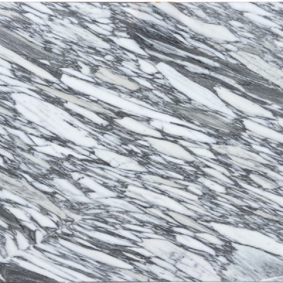 Arabescato Corchia Slab