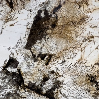 Blanc du Blanc Slabs