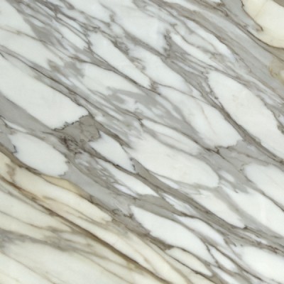 Calacatta Borghini Top Slab