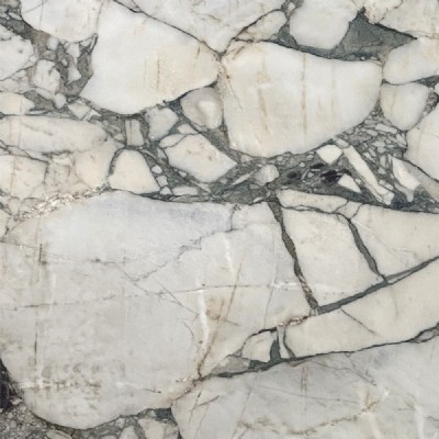 Calacatta Forest Select Slabs