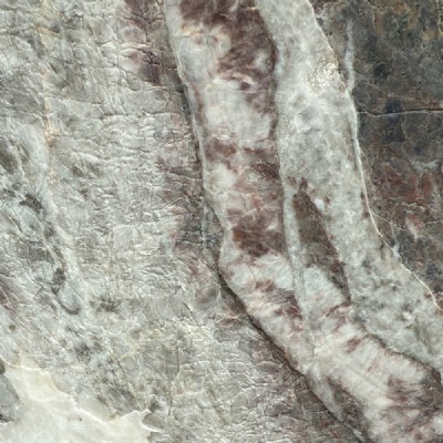 Fior di Pesco Four Seasons Slabs