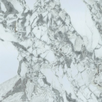 Oyster White Slabs