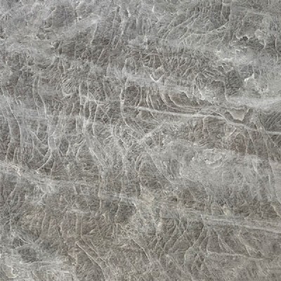 Perla Venata Slabs