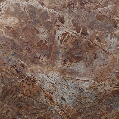 Rain Forest Brown Slab