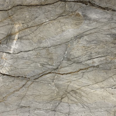 Silver Roots Slab