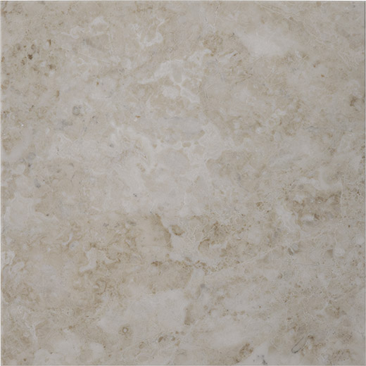 Adelia Adelia Polished 12"x12 | Marble | Floor/Wall Tile