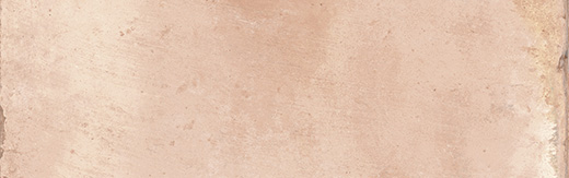 Adobe Rosa Matte 2.5"x8" | Color Body Porcelain | Floor/Wall