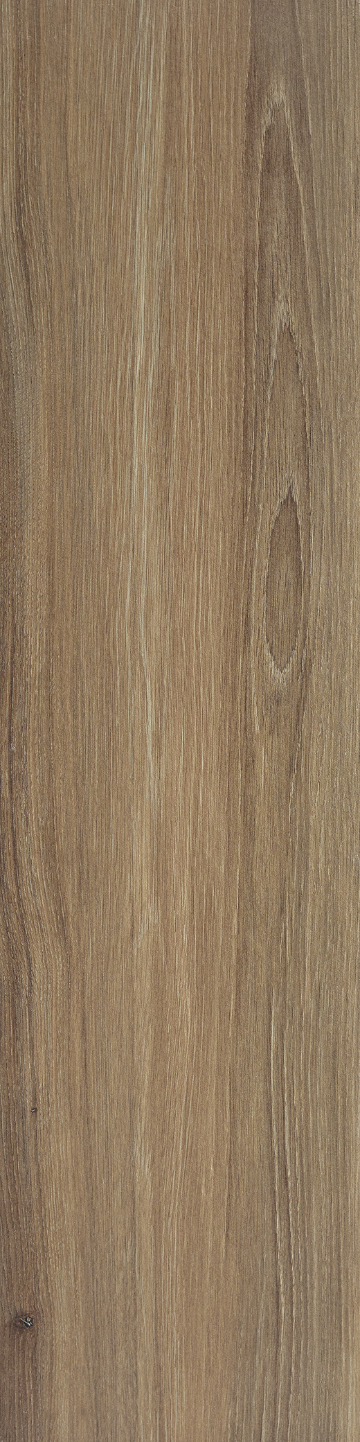 Outlet Albero Miel Matte 10"x40 | Glazed Porcelain | Floor/Wall Tile