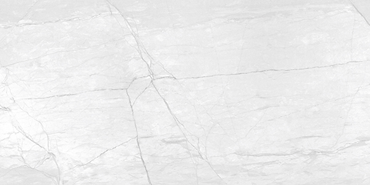 Amazon Silver Carved 24"x48" | Color Body Porcelain | Floor/Wall Tile