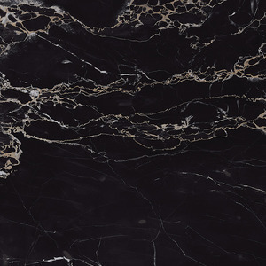 Aosta Regalia Nero Polished 12"x12 | Color Body Porcelain | Floor/Wall Tile