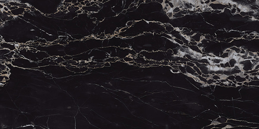 Aosta Regalia Nero Polished 12"x24 | Color Body Porcelain | Floor/Wall Tile