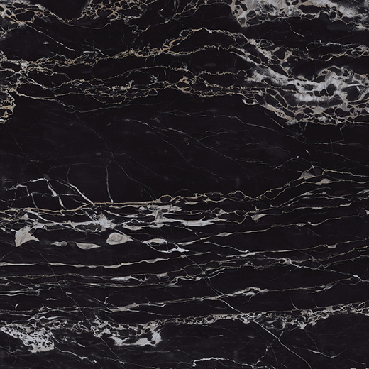 Aosta Regalia Nero Polished 24"x24 | Color Body Porcelain | Floor/Wall Tile