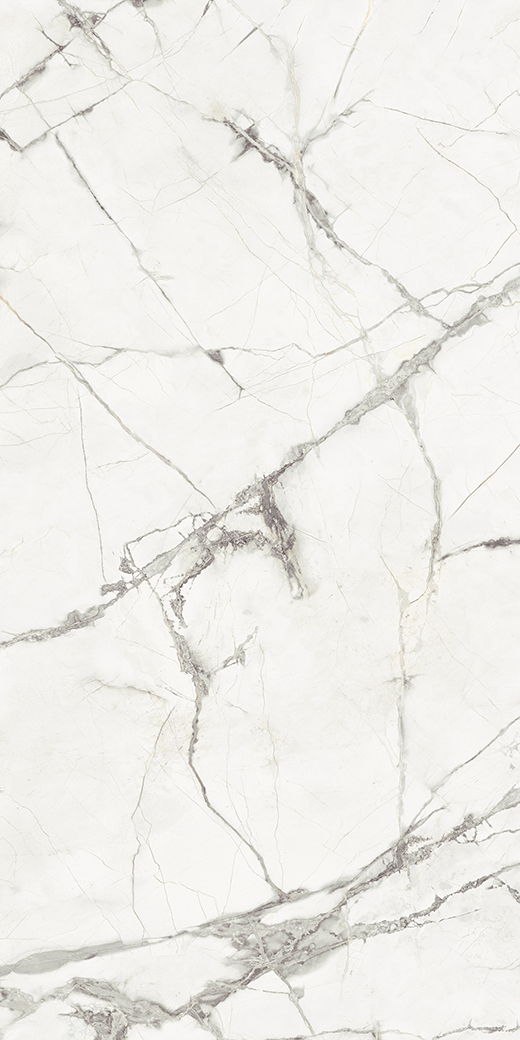 Ardelle Bianco Luce Matte 12"x24 | Color Body Porcelain | Floor/Wall Tile