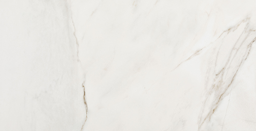 Brasilia Fossile Matte 12"x24 | Glazed Porcelain | Floor/Wall Tile