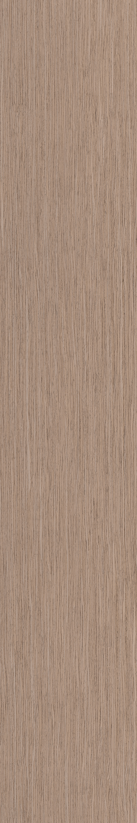 Cadera Tea Matte 10"x60 | Porcelain | Floor/Wall
