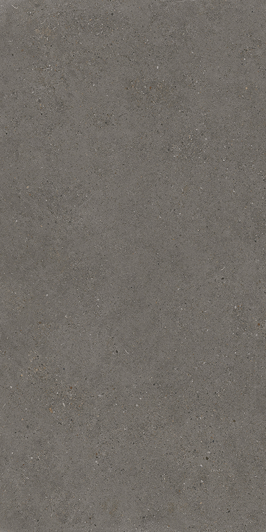 Camden Black Bayou Matte 24"x48 | Color Body Porcelain | Floor/Wall Tile