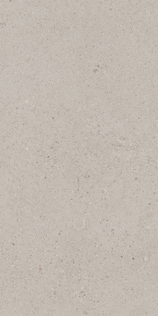 Camden Cafe Light Gray Matte 12"x24 | Color Body Porcelain | Floor/Wall Tile