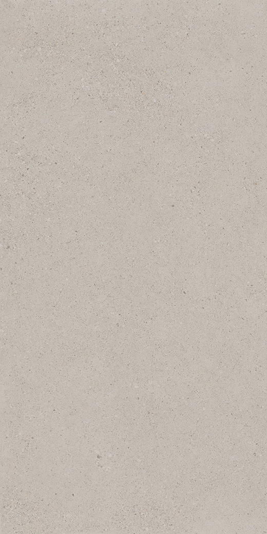 Camden Cafe Light Gray Matte 24"x48 | Color Body Porcelain | Floor/Wall Tile