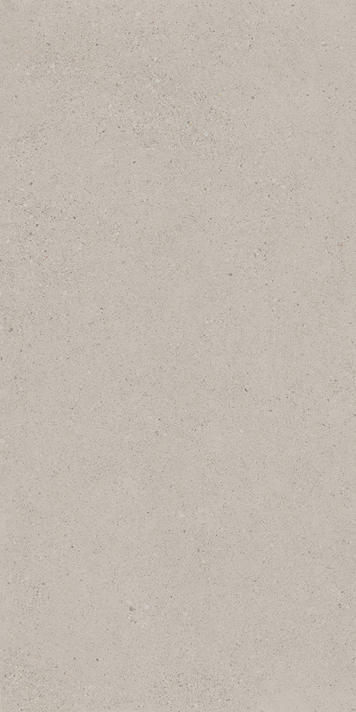 Camden Cafe Light Gray Matte 24"x48 | Color Body Porcelain | Floor/Wall Tile