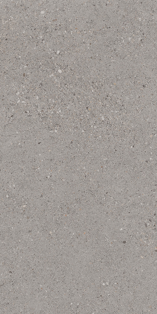 Camden French Gray Matte 12"x24 | Color Body Porcelain | Floor/Wall Tile