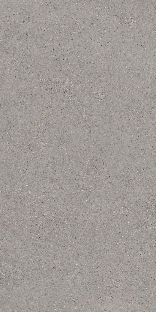 Camden French Gray Matte 24"x48 | Color Body Porcelain | Floor/Wall Tile