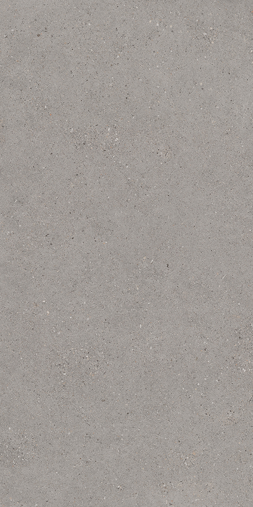 Camden French Gray Matte 24"x48 | Color Body Porcelain | Floor/Wall Tile