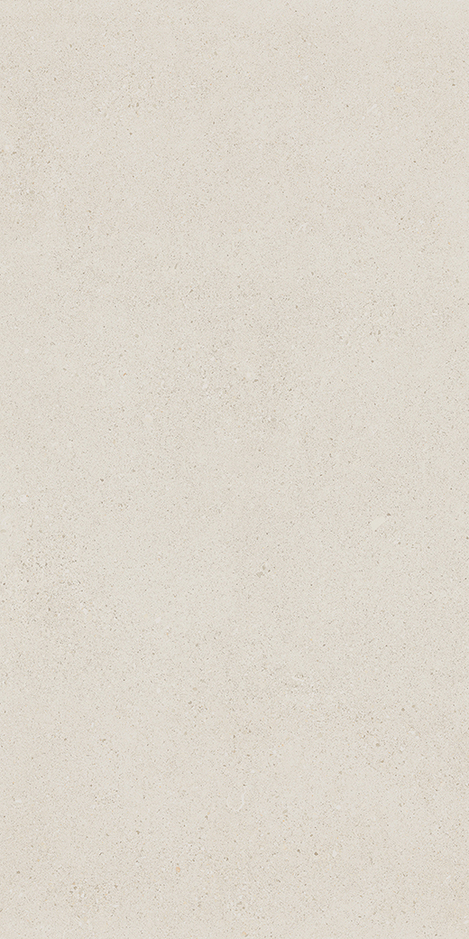 Camden Levee White Matte 24"x48 | Color Body Porcelain | Floor/Wall Tile