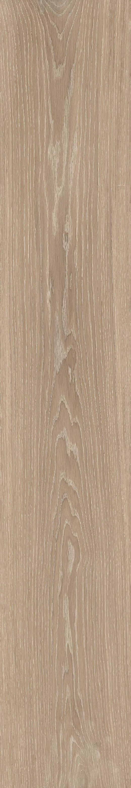 Catalan Champagne Natural 8"x48 | Color Body Porcelain | Floor/Wall Tile