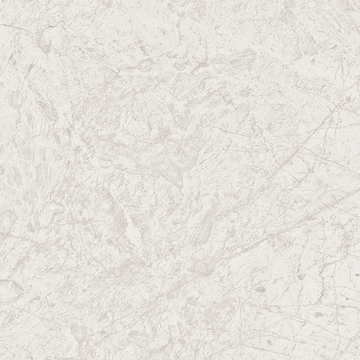 Cathedral Bianco Matte 24"x24 | Color Body Porcelain | Floor/Wall Tile