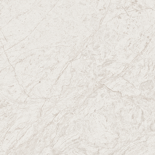 Cathedral Bianco Polished 12"X12 | Color Body Porcelain | Floor/Wall Tile