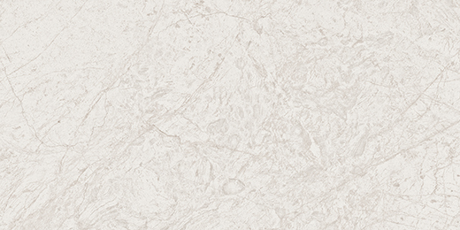 Cathedral Bianco Polished 24"x48 | Color Body Porcelain | Floor/Wall Tile