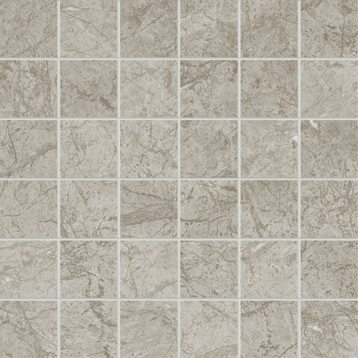 Cathedral Grigio Matte 2"X2" Mosaic | Color Body Porcelain | Floor/Wall Mosaic