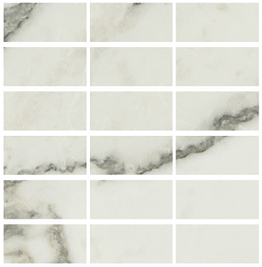 Cava Carrara Arabescato Matte/Honed 2"x4" Mosaic | Color Body Porcelain | Floor/Wall Mosaic