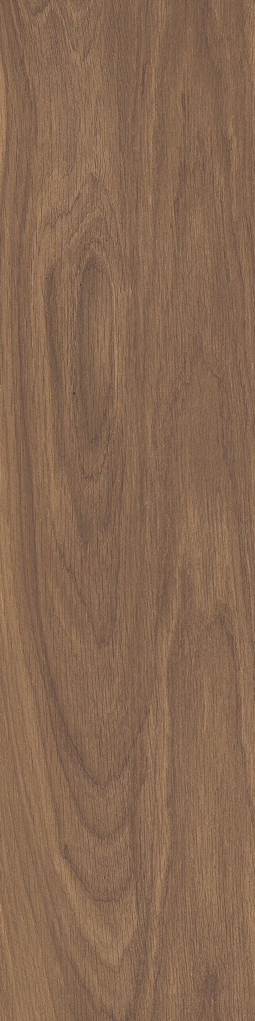 Chatham Noce Matte 12"x48 | Color Body Porcelain | Floor/Wall Tile