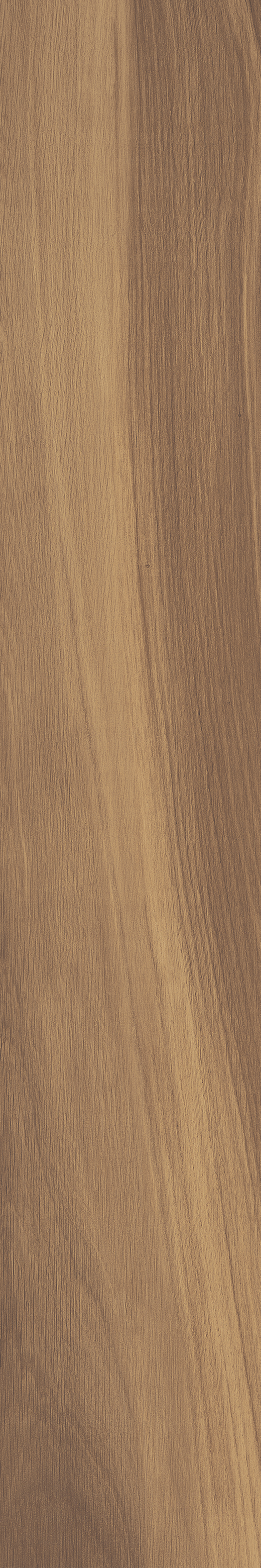 Chatham Noce Matte 8"x48 | Color Body Porcelain | Floor/Wall Tile