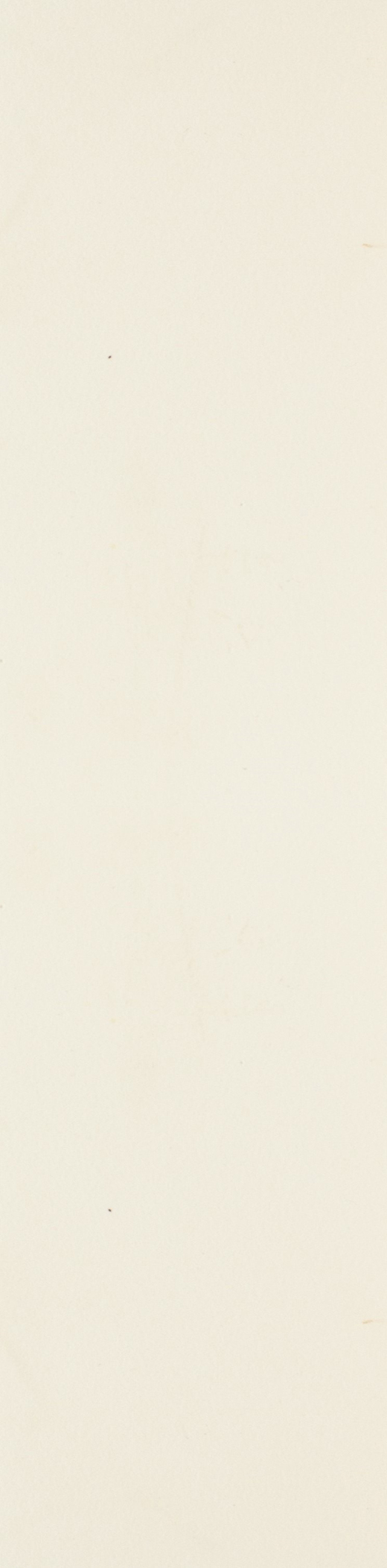 Chelsea Bone Matte 2.5"X10.5 | Ceramic | Floor/Wall Tile