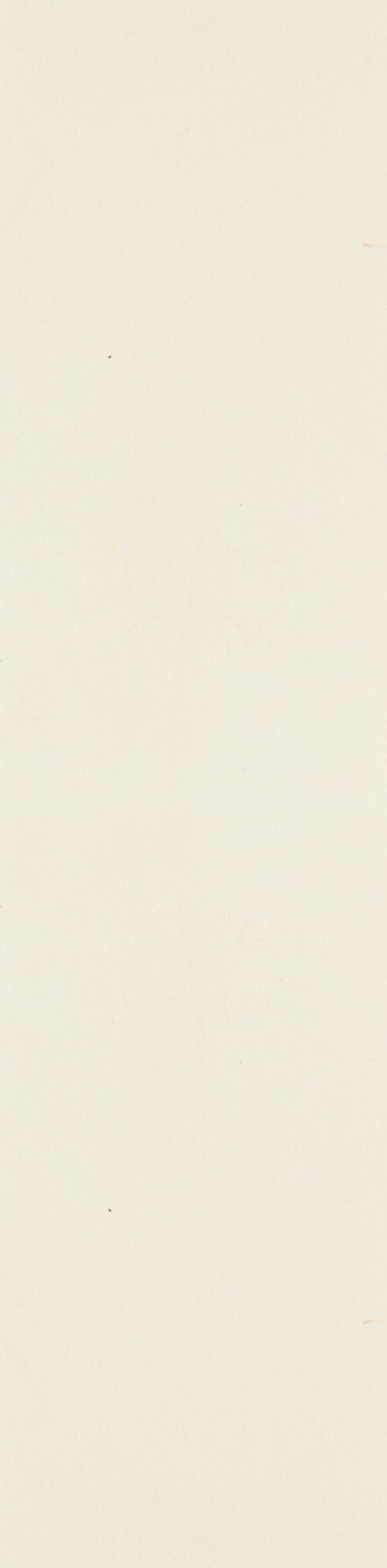 Chelsea Bone Matte 2.5"X10.5 | Ceramic | Floor/Wall Tile