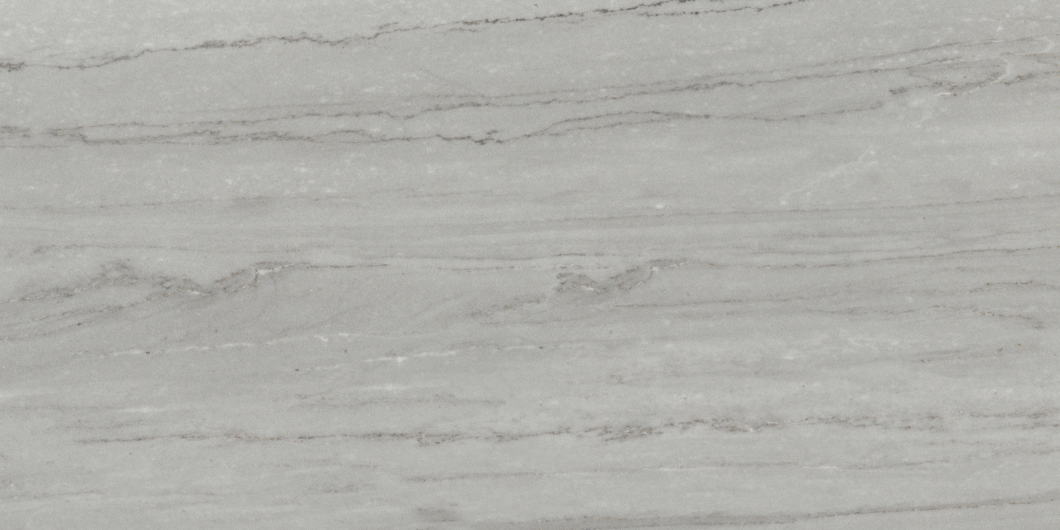 Citadel Beauty Matte 12"x24" | Glazed Porcelain | Floor/Wall Tile