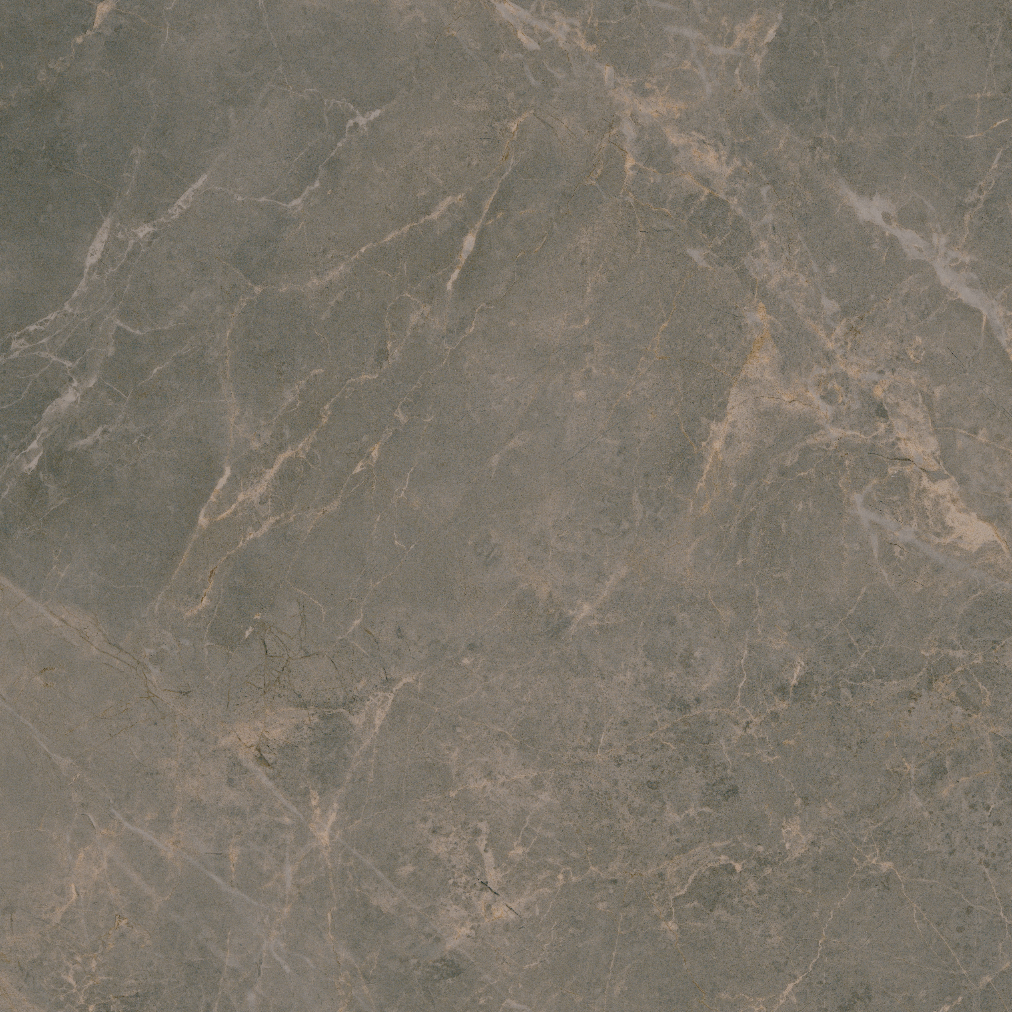 Citadel Charm Polished 24"x24 | Glazed Porcelain | Floor/Wall Tile