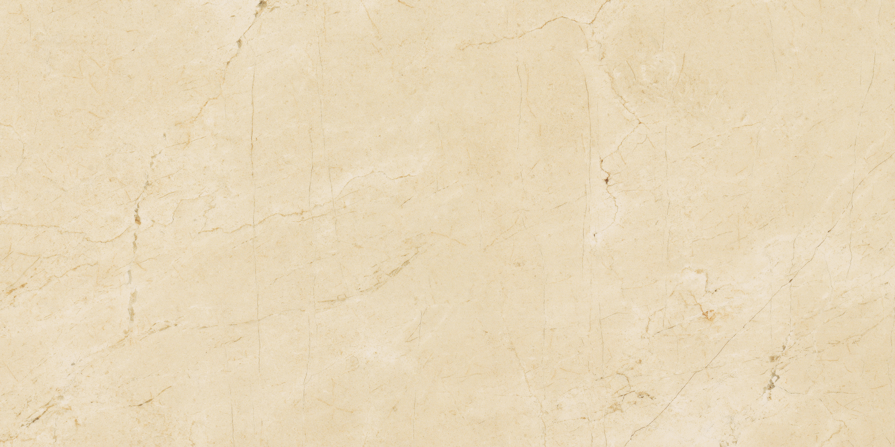 Citadel Grace Matte 12"x24" | Glazed Porcelain | Floor/Wall Tile