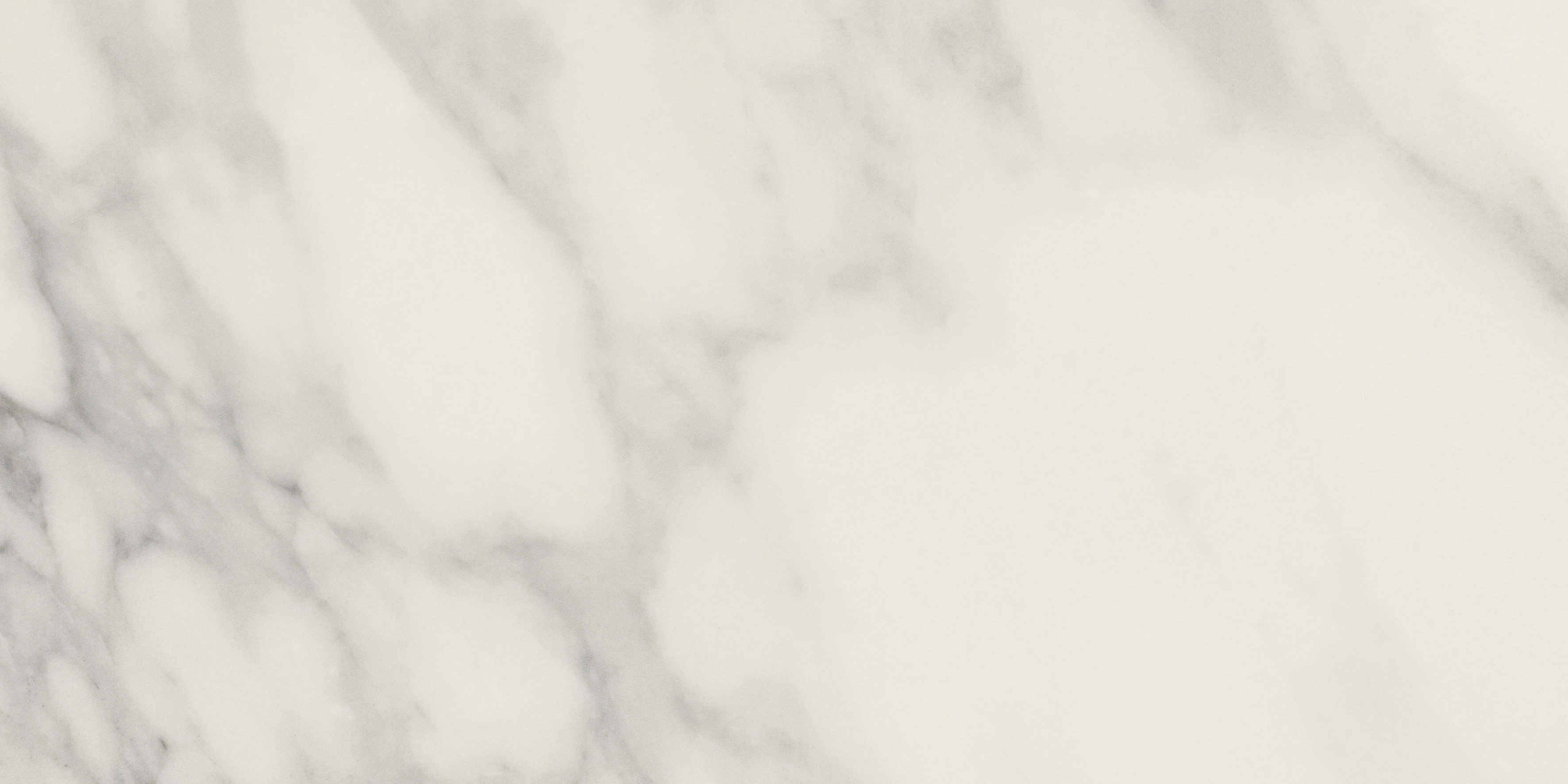 Citadel Honesty Polished 12"x24" | Glazed Porcelain | Floor/Wall Tile