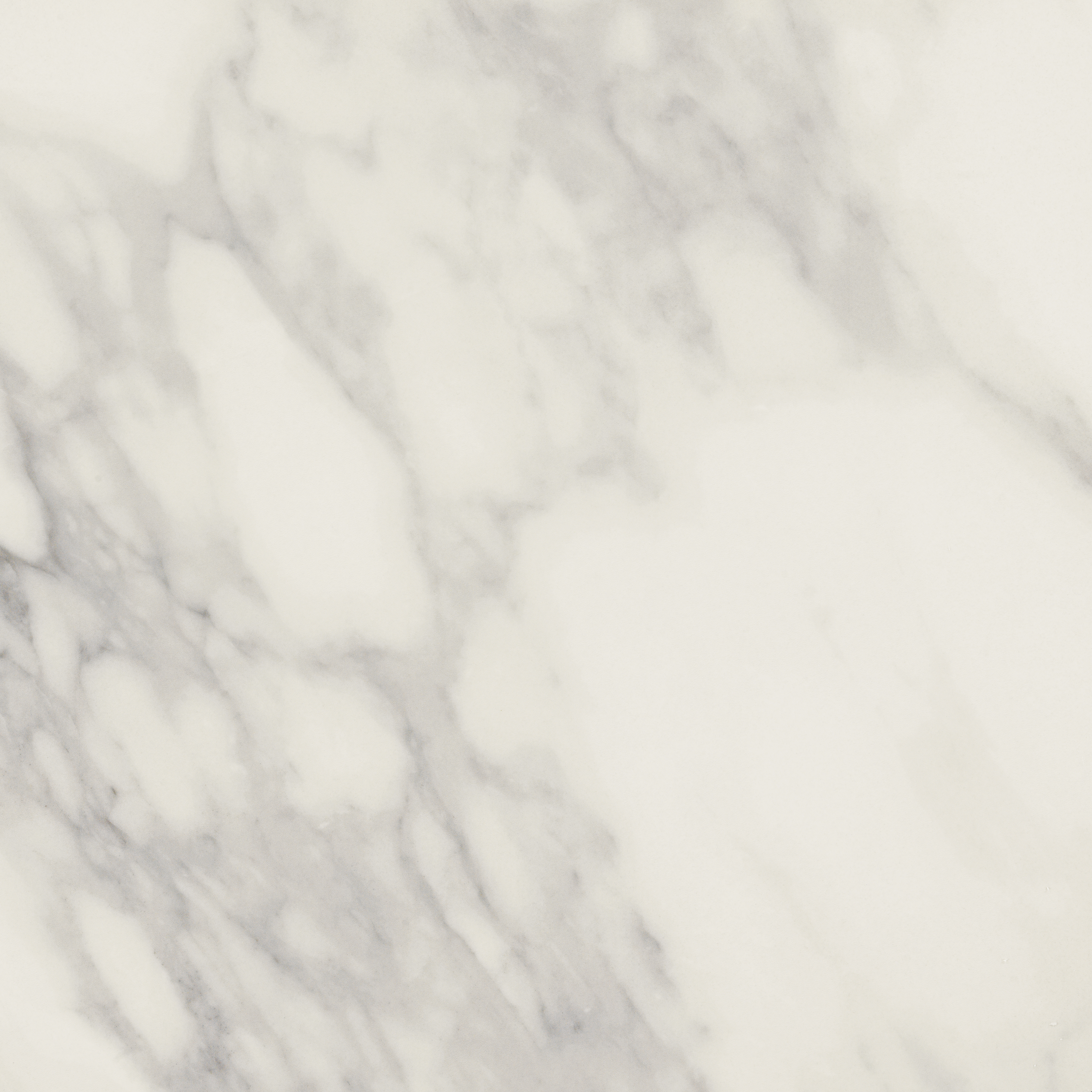 Citadel Honesty Polished 24"x24 | Glazed Porcelain | Floor/Wall Tile